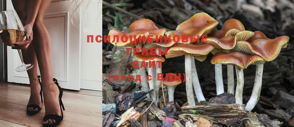 наркотики Волосово