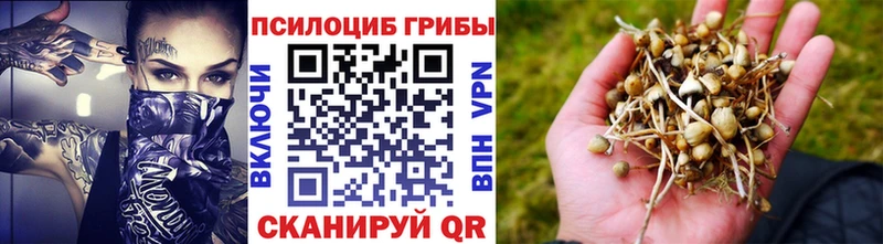 Купить  Красково  Псилоцибиновые грибы мицелий 